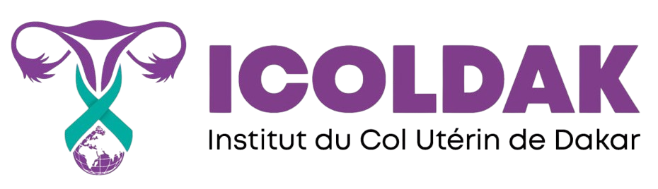 logo icoldak